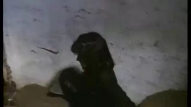 Najlepsze porno bez rejestracji Piękne sex kamerki za darmo na zywo japońskie dziewczyny poduszkę