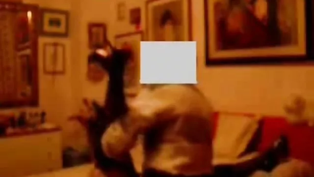 Najlepsze porno bez rejestracji Mąż agent polskie darmowe sex kamerki castingu
